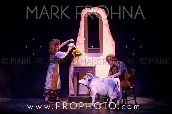 VAHS Into the Woods Highlights-2