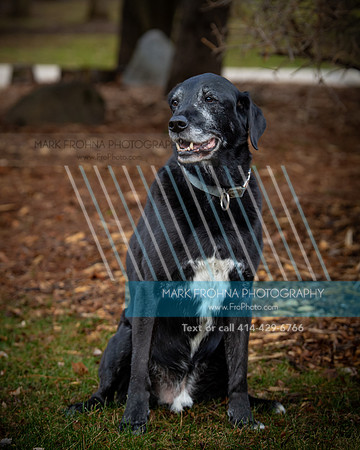 Stock Family 2023 Proofs-54