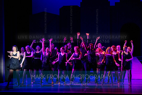 Muskego Chicago R1-20