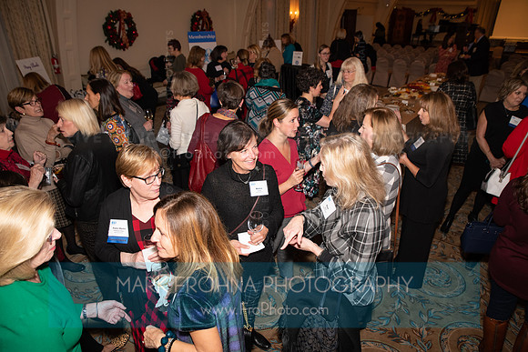 Impact100 Helping Hands 2019-39