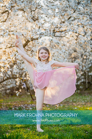 Holly Z Magnolias 2025-10