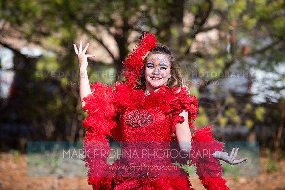 BCA Seussical Promos-20