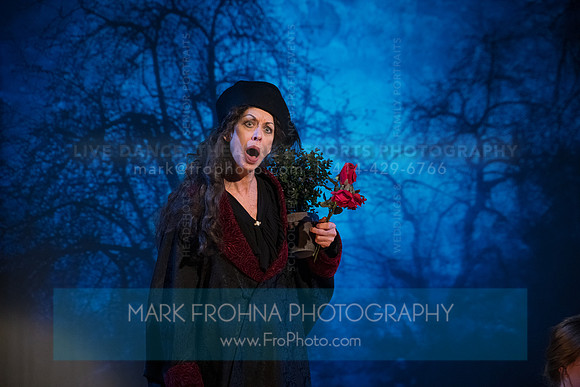 Skylight Ruddigore Highlights-16