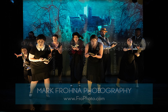 Skylight Ruddigore Highlights-2
