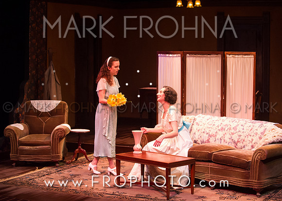 In Tandem Glass Menagerie-90