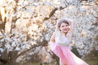 Holly Z Magnolias 2025-12