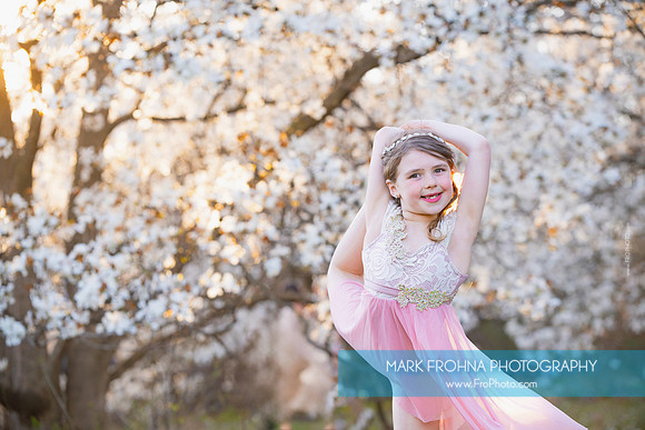 Holly Z Magnolias 2025-12