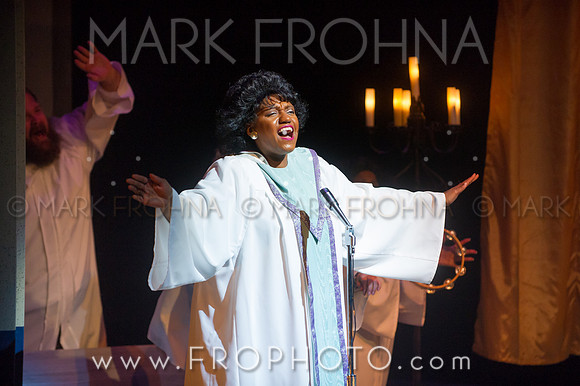 Skylight Violet Night 1 Highlights-63