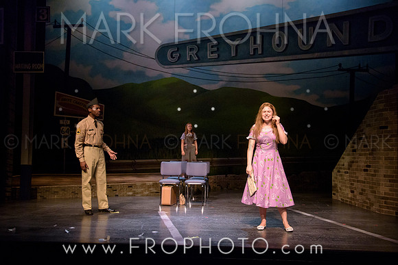 Skylight Violet Night 1 Highlights-48