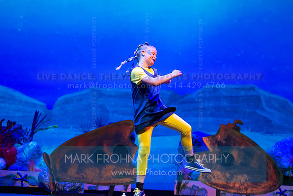 Brook El Finding Nemo-88