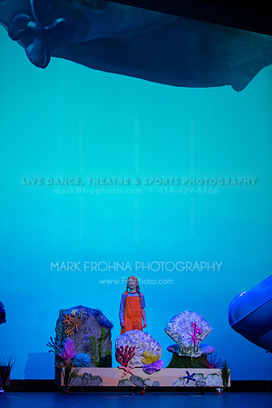Brook El Finding Nemo-80