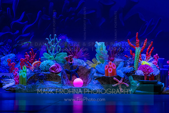 Brook El Finding Nemo-15