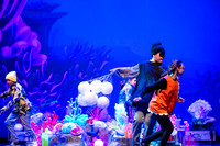 Brook El Finding Nemo-14