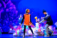 Brook El Finding Nemo-13