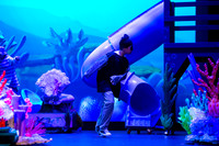 Brook El Finding Nemo-12