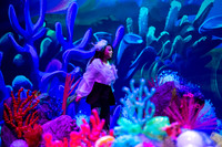 Brook El Finding Nemo-11