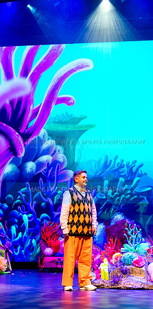 Brook El Finding Nemo-9