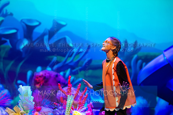Brook El Finding Nemo-8