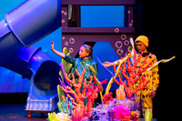 Brook El Finding Nemo-5