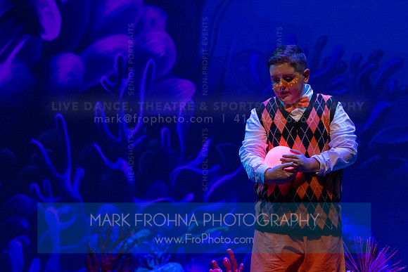 Brook El Finding Nemo-16