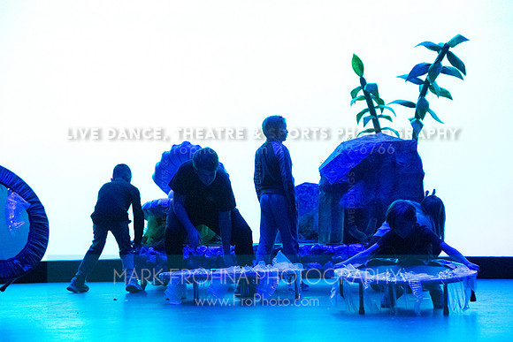 Brook El Finding Nemo-217