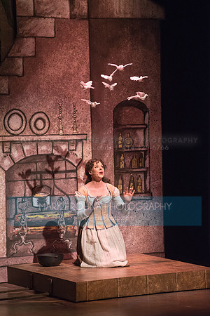 Skylight Into the Woods Preview-2