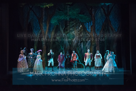 Skylight Into the Woods Preview-18