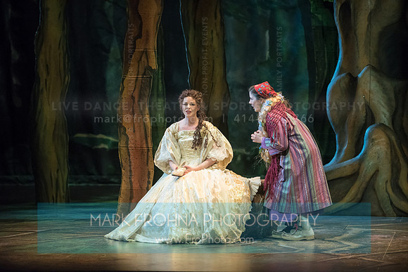Skylight Into the Woods Preview-24