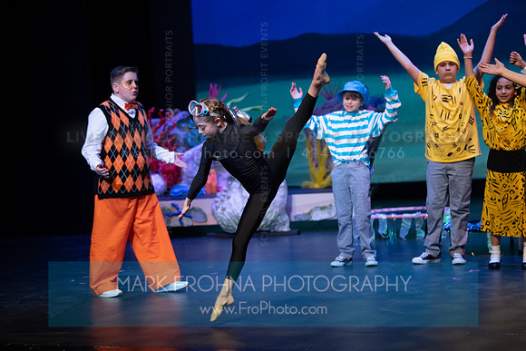 Brook El Finding Nemo-304