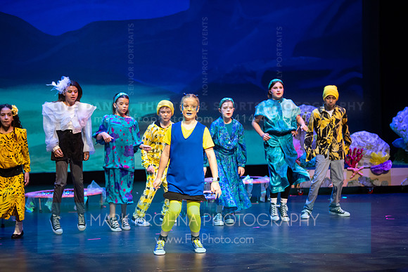 Brook El Finding Nemo-272