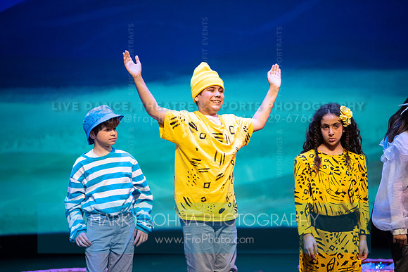 Brook El Finding Nemo-267