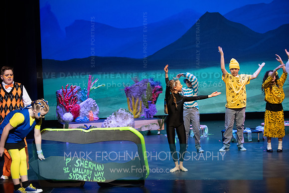 Brook El Finding Nemo-257