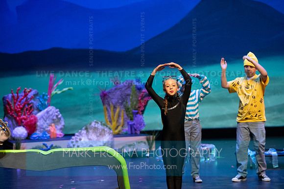Brook El Finding Nemo-255