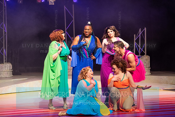 Skylight Xanadu Rashard-14