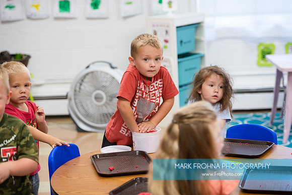 Safe Schools DSCS 2020-004