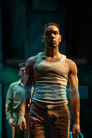Skylight From Here to Eternity-17