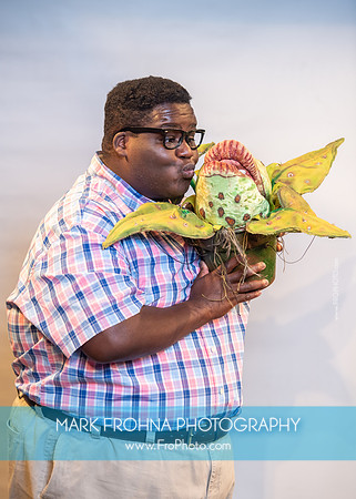 Skylight Little Shop Promos-010