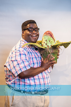 Skylight Little Shop Promos-009