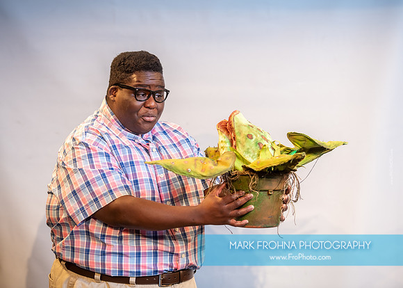 Skylight Little Shop Promos-007