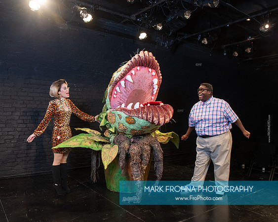 Skylight Little Shop Promos-037