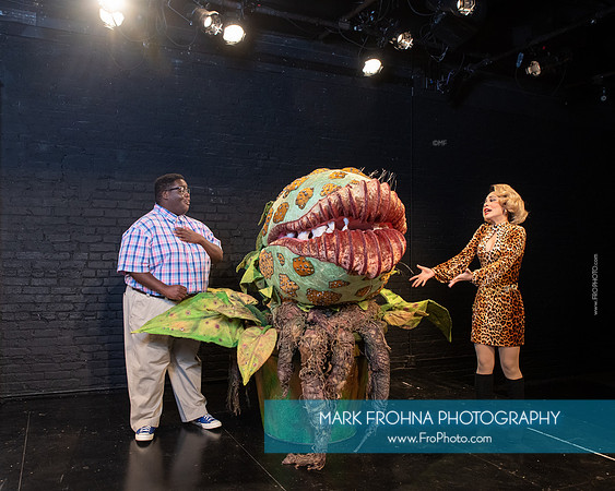 Skylight Little Shop Promos-034