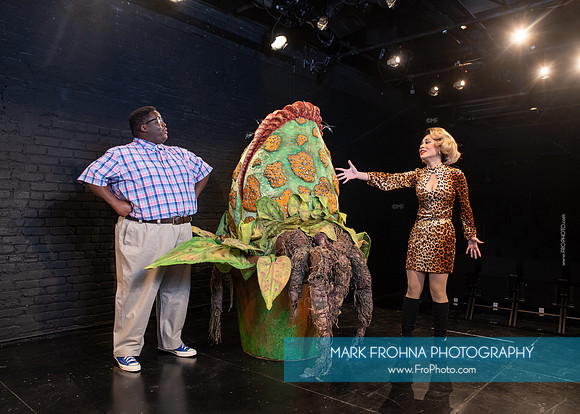 Skylight Little Shop Promos-032