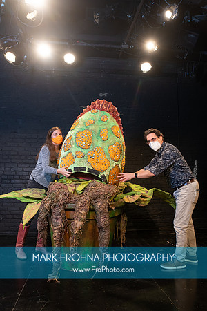 Skylight Little Shop Promos-026