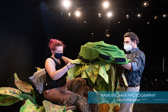 Skylight Little Shop Promos-016