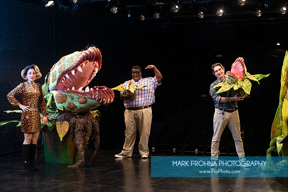 Skylight Little Shop Promos-047