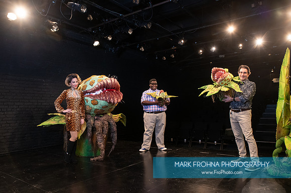 Skylight Little Shop Promos-044