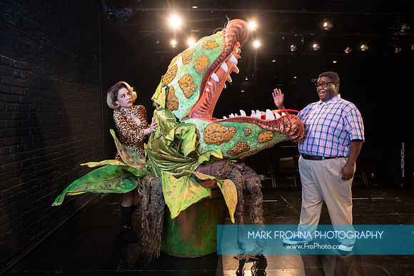 Skylight Little Shop Promos-041