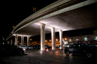 Wild Space Under the Freeway-002