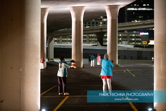 Wild Space Under the Freeway-070
