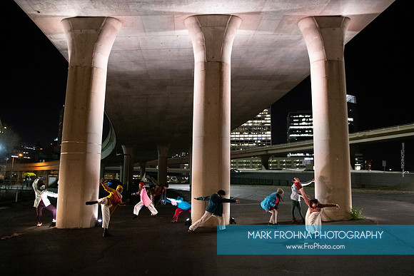 Wild Space Under the Freeway-117